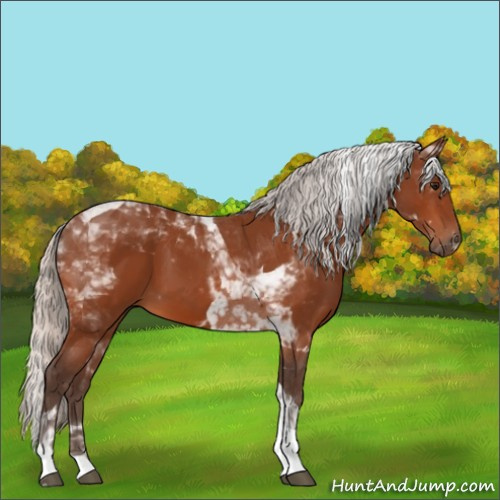 Horse Color:Silver Bay Tobiano 