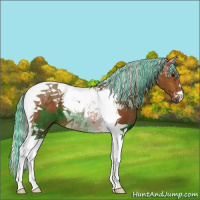 Horse Color:Painted Silver Bay Tobiano