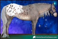 Horse Color:Painted Silver Brown Blanket 