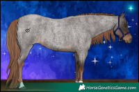Horse Color:Liver Red Roan 