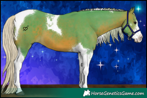 Horse Color:Watercolor Silver Brown Sabino Tobiano 