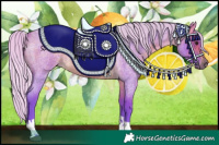 Horse Color:Watercolor Silver Brown Roan Tobiano 