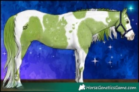 Horse Color:Watercolor Liver Chestnut Splash Tobiano 