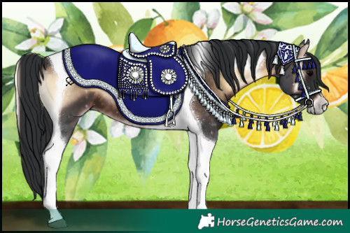 Horse Color:Brown Onyx Tobiano