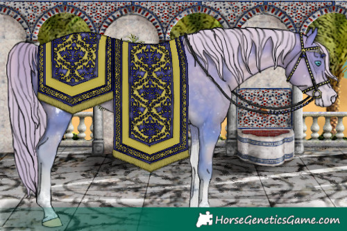 Horse Color:Watercolor Chocolate Palomino Pearl Tobiano Blanket