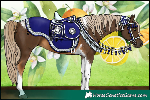 Horse Color:Chocolate Palomino Tobiano 