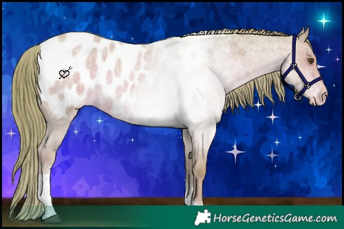 Horse Color:Watercolor Liver Red Roan Tobiano Appaloosa Rabicano