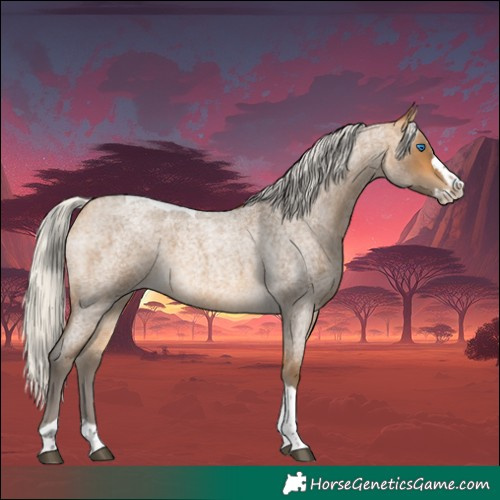Horse Color:Silver Buckskin Roan Splash Tobiano 