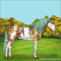 Horse Color:Painted White Spotted Silver Brown 