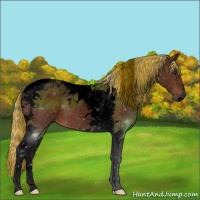 Horse Color:Void Painted Silver Bay Tobiano 