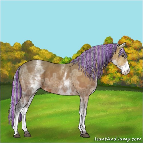 Horse Color:Painted White Spotted Silver Bay Ice 