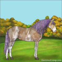 Horse Color:Painted White Spotted Silver Bay Ice 