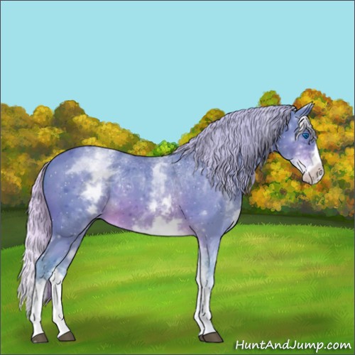 Horse Color:Watercolor White Spotted Silver Brown Sabino Splash 