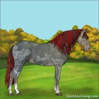 Horse Color:Painted Liver Chestnut Ice Tobiano 