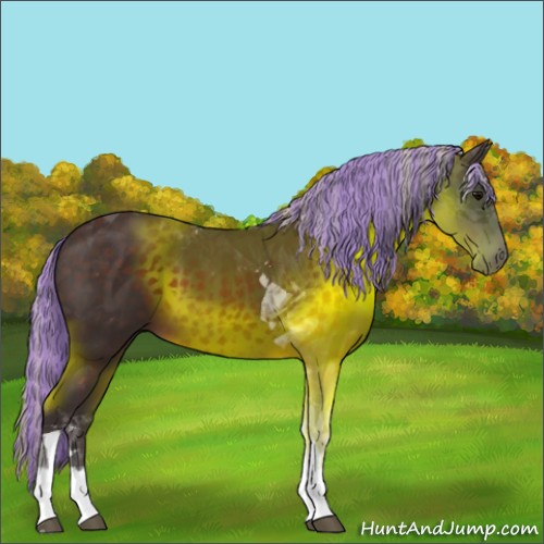Horse Color:Painted Silver Brown Tobiano 