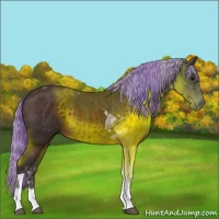 Horse Color:Painted Silver Brown Tobiano 