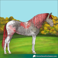 Horse Color:Painted Liver Chestnut Ice Tobiano 