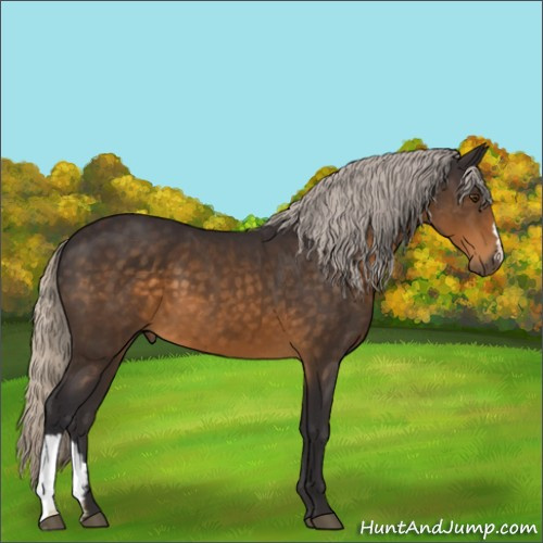 Horse Color:Silver Buckskin