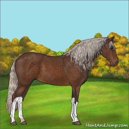 Horse Color:Silver Buckskin 