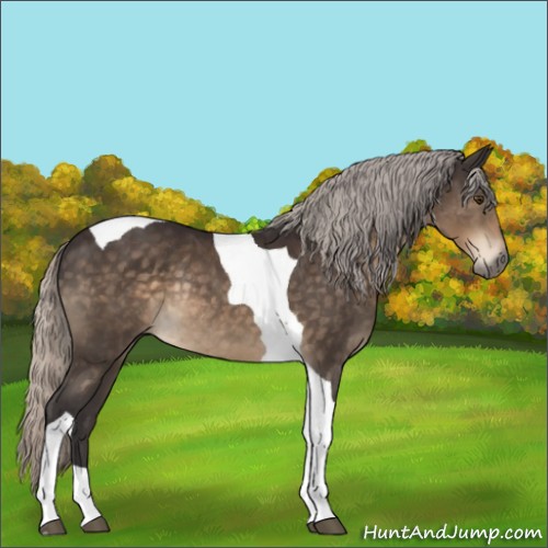 Horse Color:Silver Buckskin Tobiano Rabicano