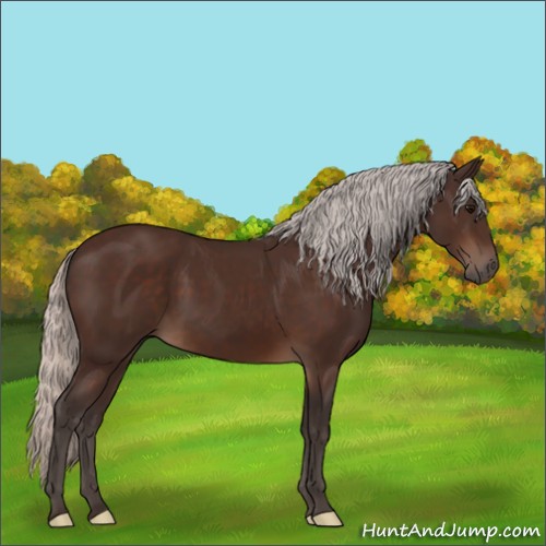 Horse Color:Silver Brown 