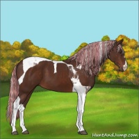 Horse Color:Painted Silver Brown Tobiano 