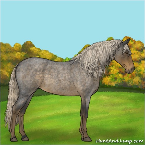 Horse Color:Chocolate Palomino Roan