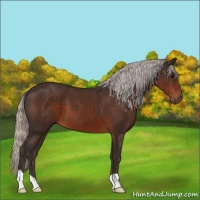 Horse Color:Silver Brown