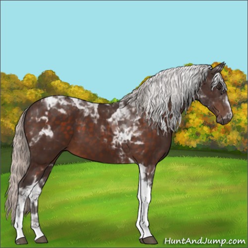 Horse Color:Silver Brown Tobiano 