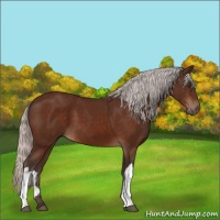 Horse Color:Silver Brown 