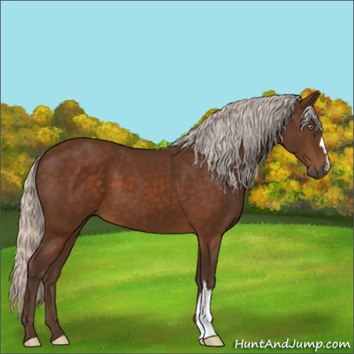 Horse Color:Silver Buckskin 