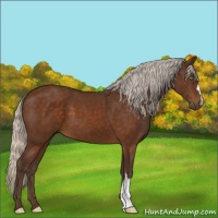 Horse Color:Silver Buckskin 
