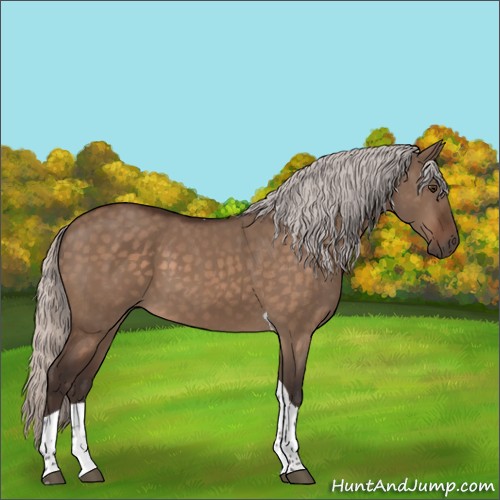 Horse Color:Silver Brown Dun Tobiano