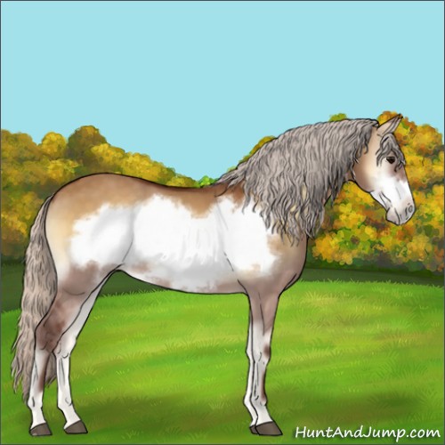 Horse Color:Silver Buckskin Onyx Frame 