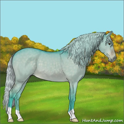 Horse Color:Watercolor Silver Brown Dun 