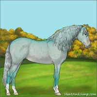 Horse Color:Watercolor Silver Brown Dun 