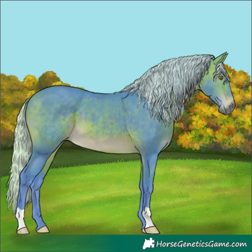 Horse Color:Watercolor Silver Brown
