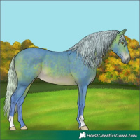 Horse Color:Watercolor Silver Brown 