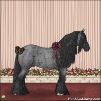 Horse Color:Blue Roan 
