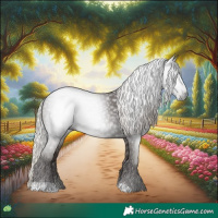 Horse Color:Gray Silver Black 