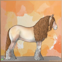 Horse Color:Bay Roan Pearl Onyx 