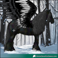 Horse Color:Midnight Black 