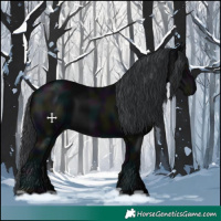 Horse Color:Void Midnight Black 