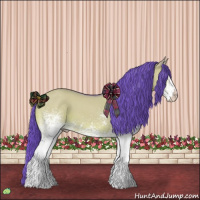 Horse Color:Watercolor White Spotted Grullo Roan 