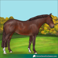 Horse Color:Chocolate Brown 