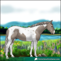 Horse Color:Silver Grullo Tobiano 