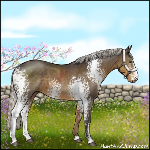 Horse Color:White Spotted Silver Smoky Black 