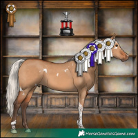 Horse Color:White Spotted Silver Bay Dun Tobiano