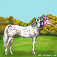 Horse Color:White Spotted Silver Brown Dun Tobiano Appaloosa