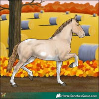 Horse Color:Red Roan Pearl Tobiano Frame